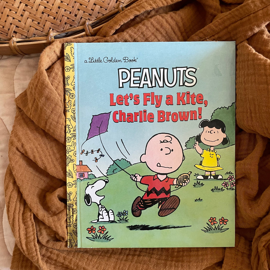 Let's Fly a Kite, Charlie Brown!