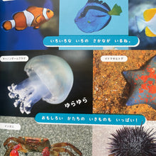 Carica l&#39;immagine nel visualizzatore di Gallery, Magazine japonais n•8
