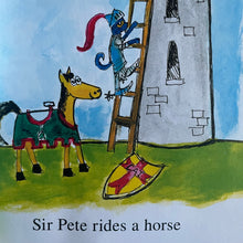 Load image into Gallery viewer, Pete&#39;s cat - Sir Petethe brave
