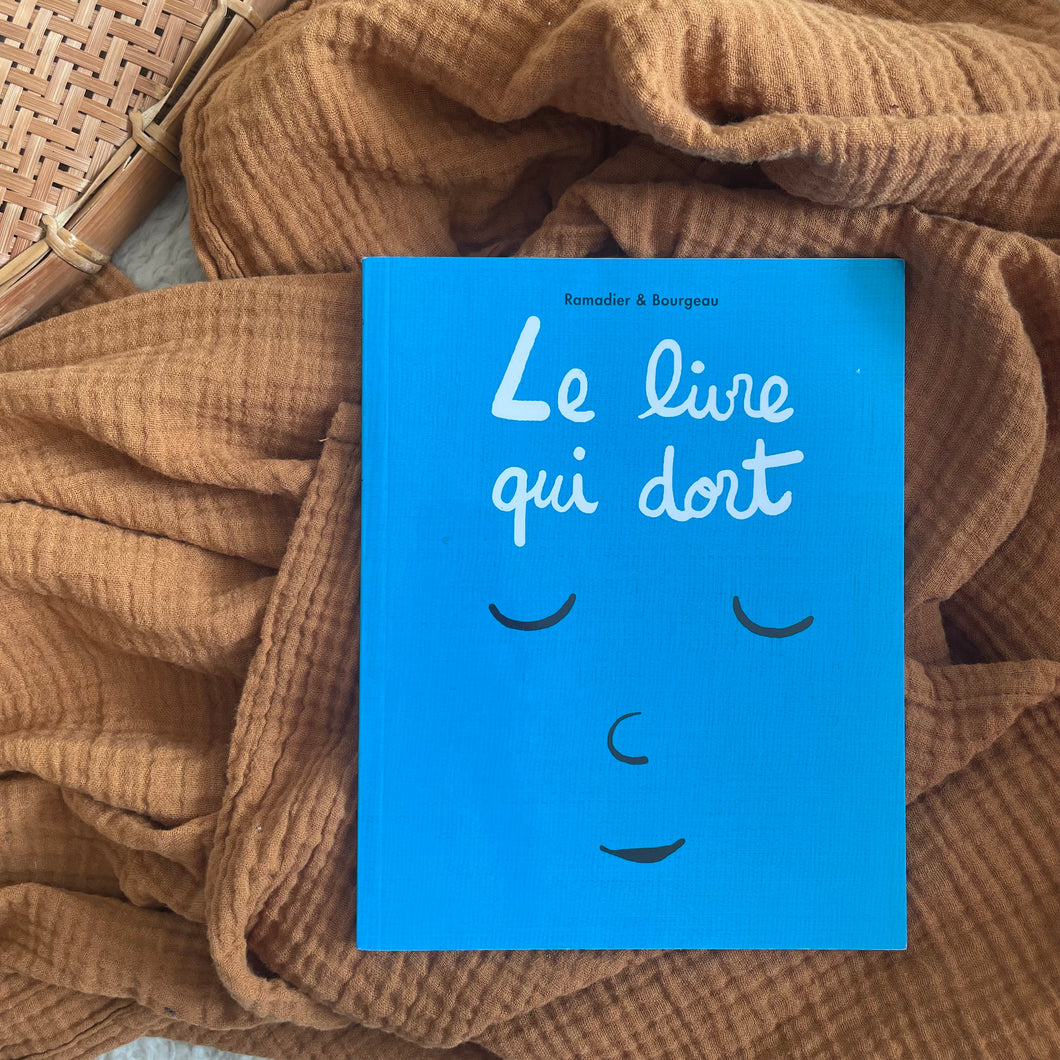 Le livre qui dort - Cédric Ramadier / Vincent Bourgeau
