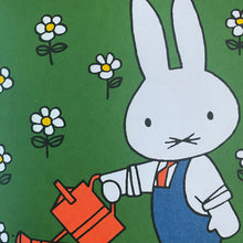 Cargar imagen en el visor de la galería, Miffy
