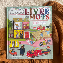 Charger l&#39;image dans la galerie, Le grand livre des mots - Bilingue - Richard Scarry
