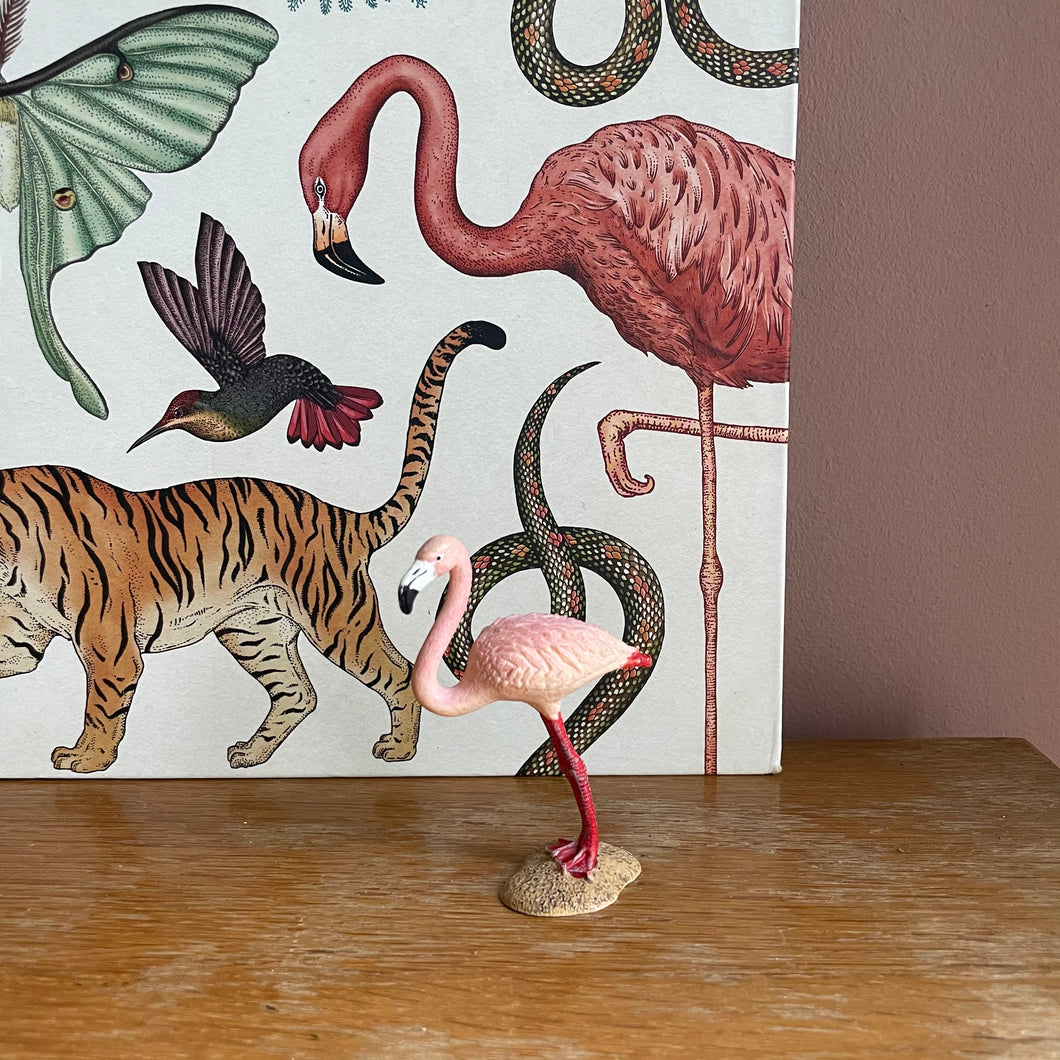 Flamant rose