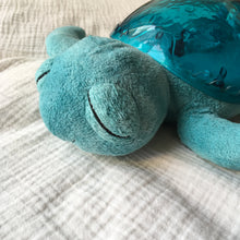 Lade das Bild in den Galerie-Viewer, Veilleuse tortue bleue - Cloud b
