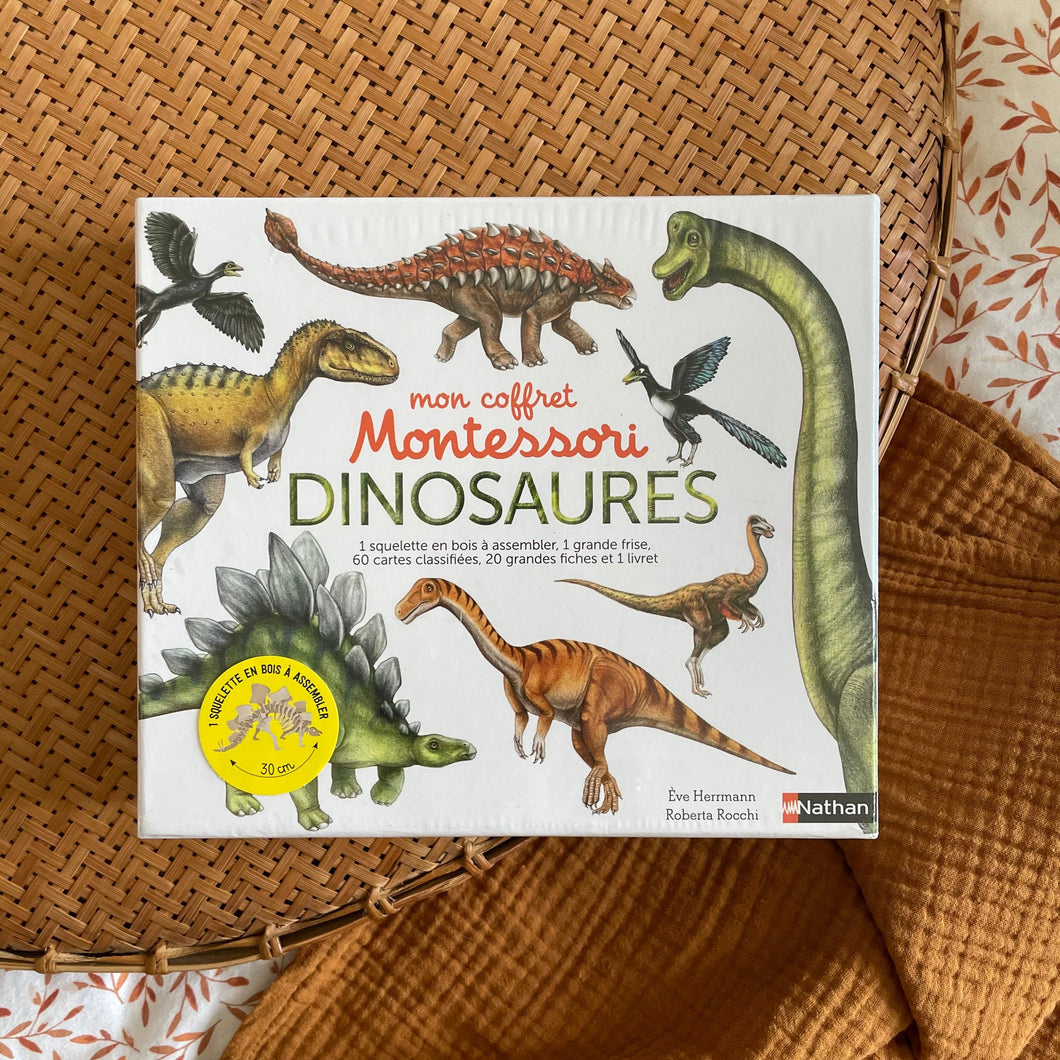 Mon coffret Montessori des dinosaures